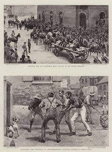 La crisis del Transvaal de Frank Dadd